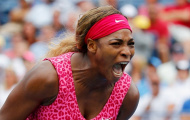 Chưa vào chung kết, Serena đã mơ ngôi vô địch