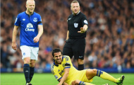 Fabregas phải nén đau ra sân suốt 8 tháng liền