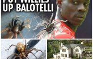Balotelli to xác... nhưng lại sợ phát khiếp lũ nhện
