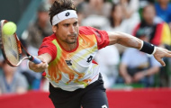 ATP World Tour Finals 2014: Ferrer chật vật đua đến London