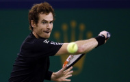 Andy Murray đối đầu Tommy Robredo ở chung kết