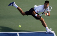 Một năm phi thường của Djokovic