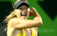 Video: 20 pha ghi điểm đỉnh cao của Sharapova trong năm 2014