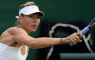 Video: Những cú ngã và chấn thương kinh hoàng của các sao tennis