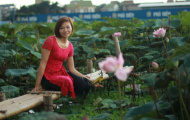 Bông hồng miền Tây Ngọc Diễm quên yêu vì bóng chuyền