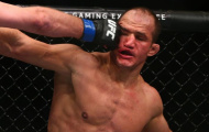 Sự kiện UFC on FOX 13 thu hút gần 4 triệu lượt xem