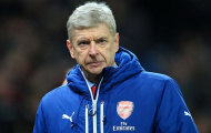 Từ Fabregas đến Wilshere và nỗi đau Wenger
