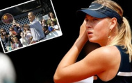 Điểm tin thể thao 24/12: Sắp có thư hùng Sharapova đối đầu tổng thống Obama