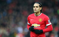 Falcao, mèo và hổ