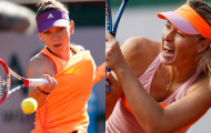 Sharapova chung nhánh Halep, Serena chờ chạm trán Kvitova