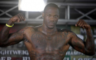 Deontay Wilder hạ quyết tâm tìm lại vinh quang cho quyền Anh Mỹ