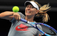 Australian Open: Sharapova “hăng máu”, Murray cẩn trọng