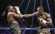 Deontay Wilder quyết thống nhất tất cả các đai vô địch