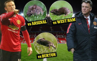 Chuột hoành hành trên sân Old Trafford của Manchester United