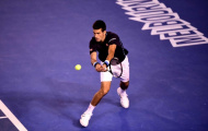Djokovic kê bóng ''ma thuật'' trên lưới