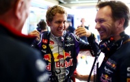 Vettel suýt bỏ nghề
