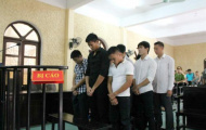 Luật sư kiến nghị VFF giảm án cho cầu thủ V. Ninh Bình