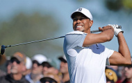 Tiger Woods phải bỏ đấu vì chấn thương