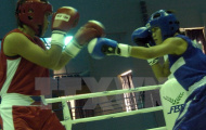 Khai mạc Giải Boxing Đồng bằng sông Cửu Long mở rộng lần thứ 1