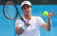 Rotterdam Open: Murray quyết đoạt vé bán kết