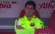 Suarez gầm gừ vì bị Enrique làm tụt hứng