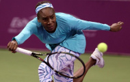 Venus Williams quyết trở lại thời hoàng kim
