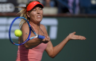 Sharapova - Wickmayer: Khởi đầu ấn tượng