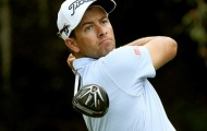 Golf: “Kình địch” của McIlroy nhận cú sốc
