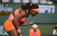Nadal thua sốc, Serena mướt mồ hôi đoạt vé