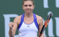Hot shot Halep: Tưởng thưởng xứng đáng