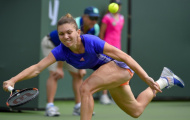 Halep + đẳng cấp = cú passing 'khó tìm hiếm thấy'