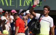 Trở lại một ngày, del Potro nhận liền hai cú sốc