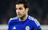 Fabregas phản pháo dữ dội khi bị chỉ trích
