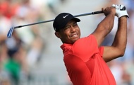 Vì sao Tiger Woods tuột dốc không phanh?