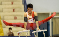 Canada đài thọ kinh phí tập huấn cho tuyển Thể dục dụng cụ Việt Nam