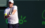 Murray - Berdych: Không thể khác