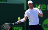 Murray: Từ cáo già biến thành thỏ non trước Djokovic