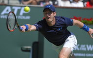 Djokovic quá hoàn hảo