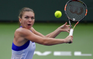 Halep bị tiền bối chỉ trích nặng nề vì trốn chạy Fed Cup