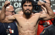Pacquiao tự thấy bản năng huỷ diệt trở lại khi sắp đấu Mayweather