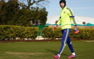 Wenger đón Cech, thải Flamini, Rosicky