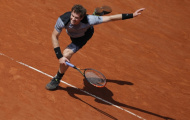 Thăng hoa hạ Ferrer, Murray gặp Djokovic ở bán kết