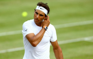 Nadal đề xuất tổ chức nhiều giải trên mặt sân cỏ và đất nện