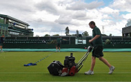 'Bật mí” cách chăm mặt sân cỏ của giải Wimbledon