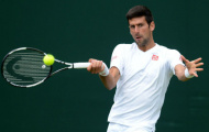 Djokovic - Nieminen: Tiếp tục thăng hoa