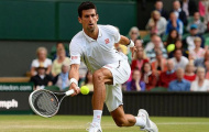 Novak Djokovic: Lịch sử vẫy gọi