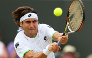 David Ferrer: 'Cánh chim không mỏi' tennis thế giới