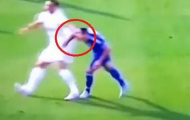 Ibrahimovic cố tình đánh vào mặt Terry?