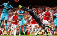 Wenger từ chối đổ lỗi thất bại cho Petr Cech