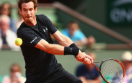 Murray - Dimitrov: Trỗi dậy đúng lúc